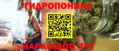 гашик Малгобек